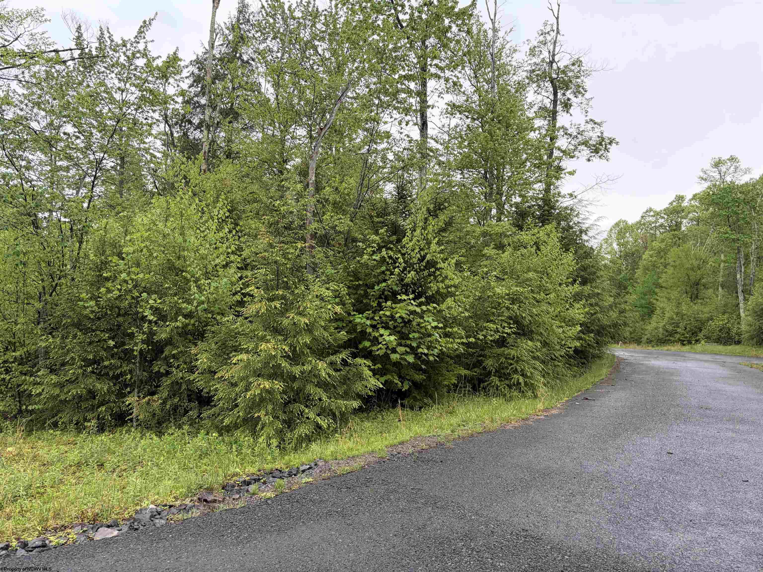 77 Bassilla Way Davis WV 26260