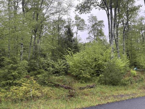 77 Bassilla Way Davis WV 26260