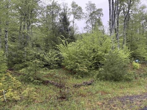 77 Bassilla Way Davis WV 26260