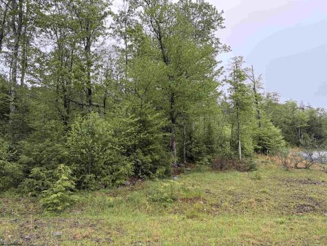 77 Bassilla Way Davis WV 26260