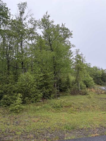 77 Bassilla Way Davis WV 26260