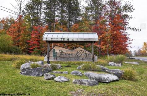 77 Bassilla Way Davis WV 26260