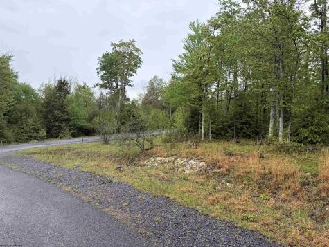 77 Bassilla Way Davis WV 26260