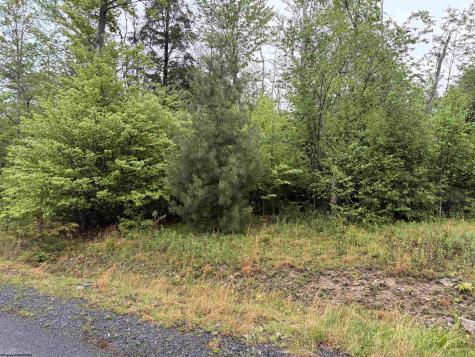 77 Bassilla Way Davis WV 26260