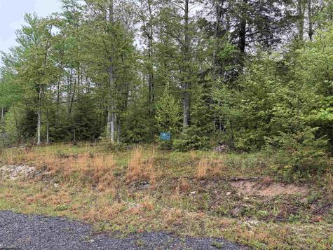 77 Bassilla Way Davis WV 26260