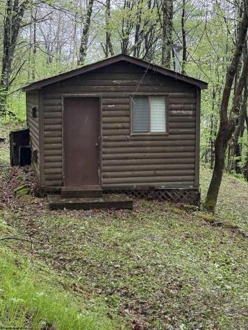 1019 Thunderstruck Road Harman WV 26270