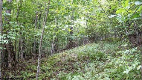 0 Yellow House Lane Elkins WV 26241