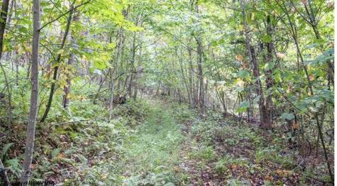 0 Yellow House Lane Elkins WV 26241