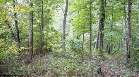 0 Yellow House Lane Elkins WV 26241