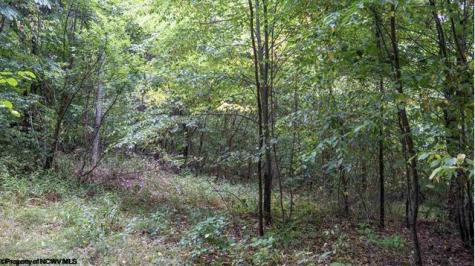 0 Yellow House Lane Elkins WV 26241