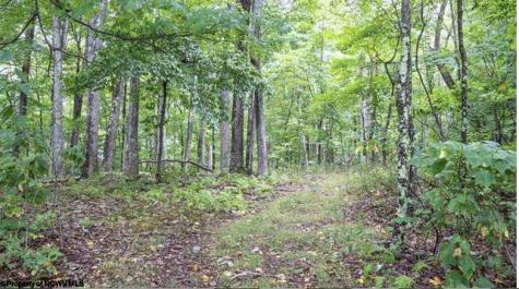 0 Yellow House Lane Elkins WV 26241