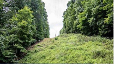 0 Yellow House Lane Elkins WV 26241