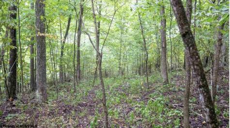 0 Yellow House Lane Elkins WV 26241