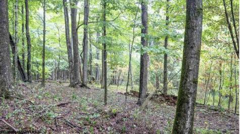 0 Yellow House Lane Elkins WV 26241