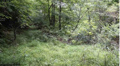 0 Yellow House Lane Elkins WV 26241