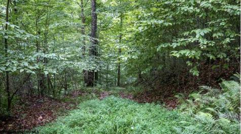 0 Yellow House Lane Elkins WV 26241
