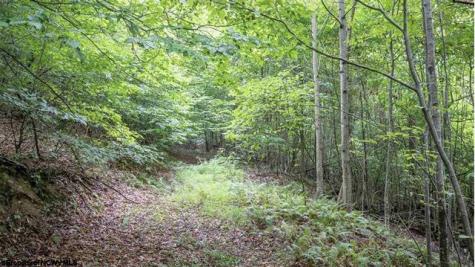0 Yellow House Lane Elkins WV 26241