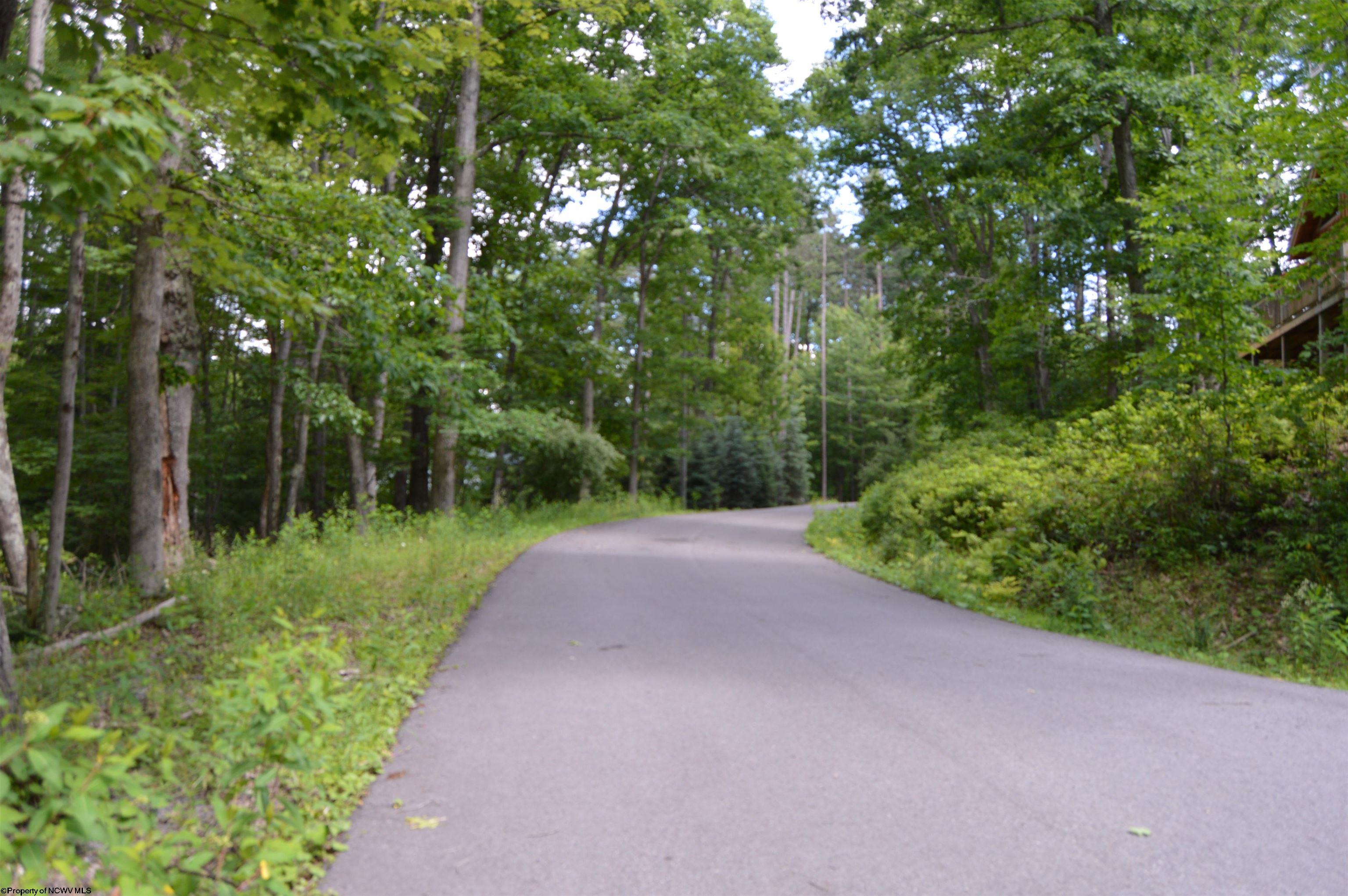 192 Azalea Drive Terra Alta WV 26764