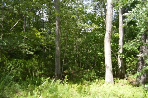 192 Azalea Drive Terra Alta WV 26764