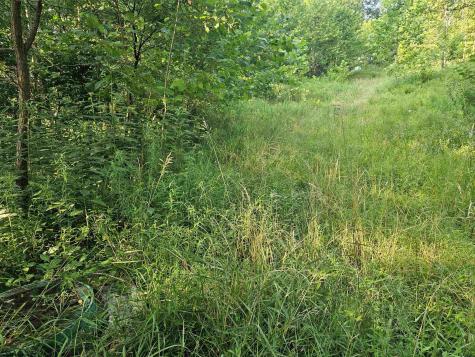 1 Westminster Drive Morgantown WV 26505