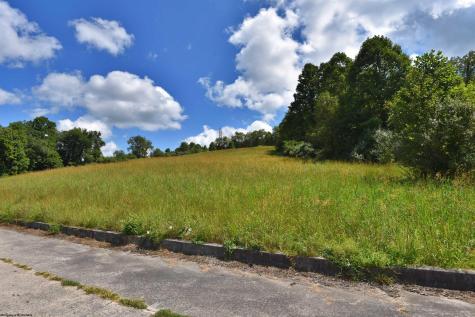 Lot 49 Birch Street Grafton WV 26354
