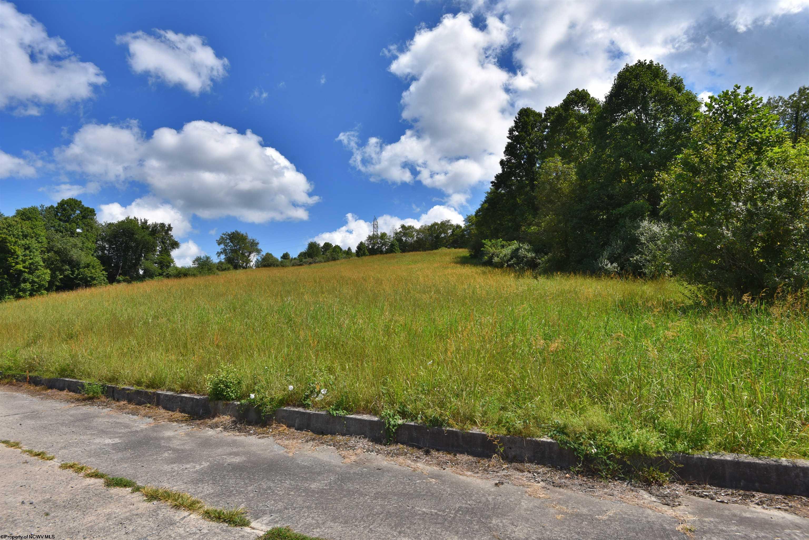 49 Birch Street Grafton WV 26354
