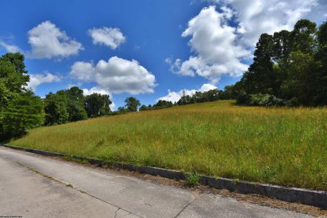 49 Birch Street Grafton WV 26354