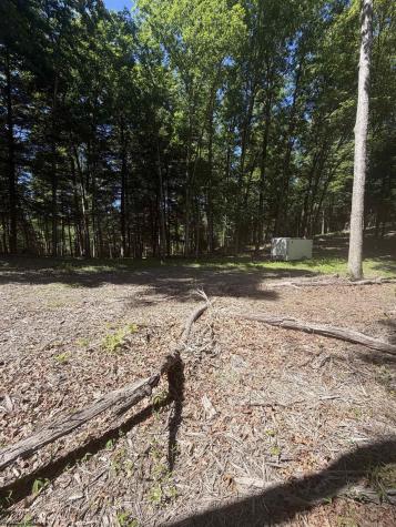 105 Laural Loop Bruceton Mills WV 26525