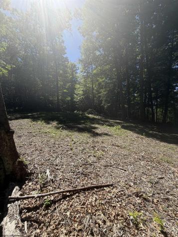 105 Laural Loop Bruceton Mills WV 26525