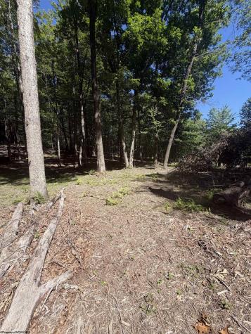 105 Laural Loop Bruceton Mills WV 26525
