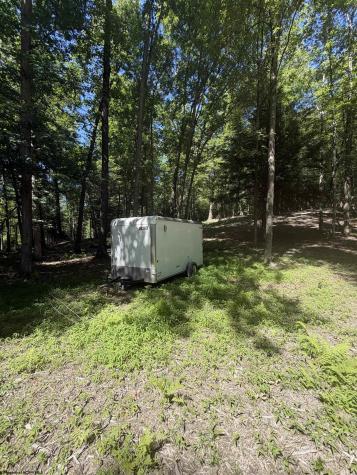 105 Laural Loop Bruceton Mills WV 26525