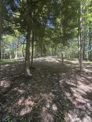 105 Laural Loop Bruceton Mills WV 26525
