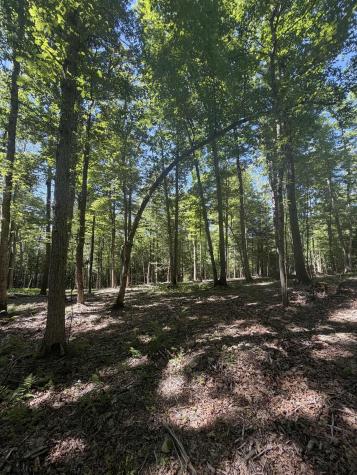 105 Laural Loop Bruceton Mills WV 26525