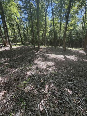 105 Laural Loop Bruceton Mills WV 26525