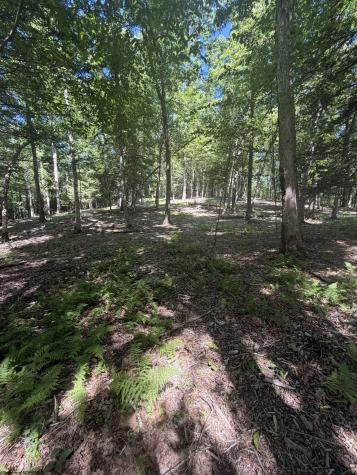 105 Laural Loop Bruceton Mills WV 26525
