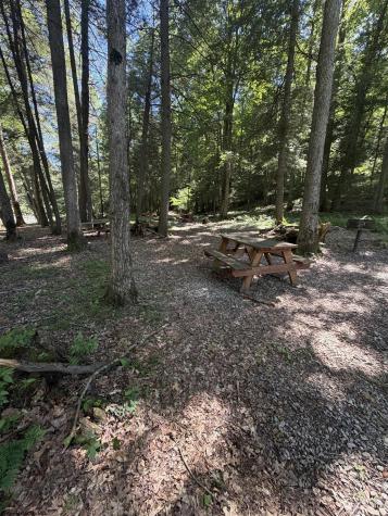 105 Laural Loop Bruceton Mills WV 26525