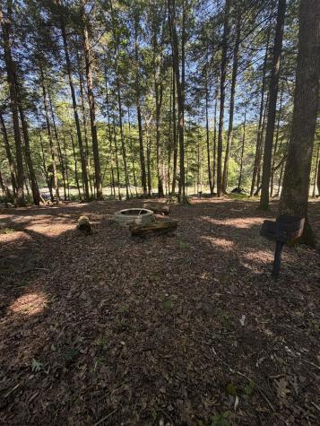 105 Laural Loop Bruceton Mills WV 26525