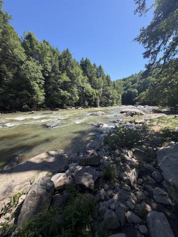 105 Laural Loop Bruceton Mills WV 26525