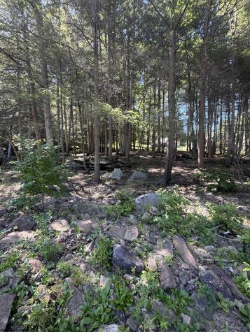 105 Laural Loop Bruceton Mills WV 26525