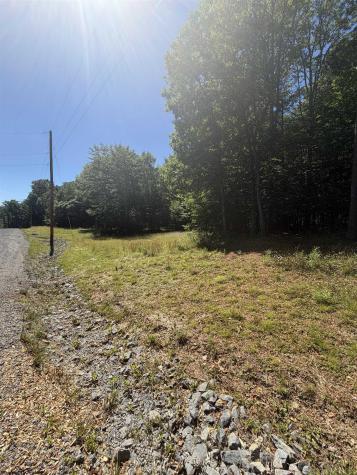 105 Laural Loop Bruceton Mills WV 26525