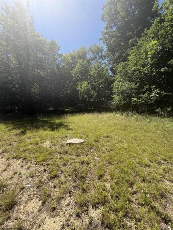 105 Laural Loop Bruceton Mills WV 26525