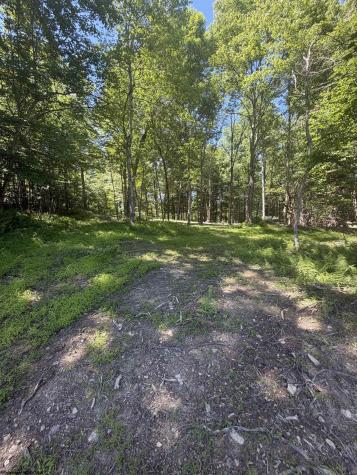 105 Laural Loop Bruceton Mills WV 26525