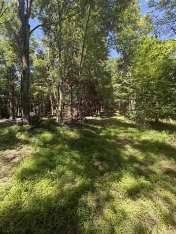 105 Laural Loop Bruceton Mills WV 26525