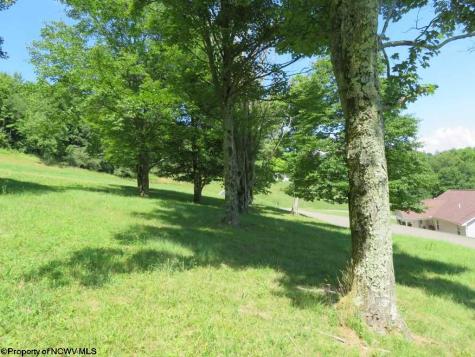 0 Doe Lane Buckhannon WV 26201