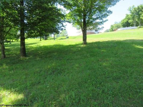 0 Doe Lane Buckhannon WV 26201
