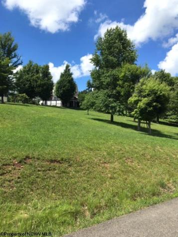 0 Doe Lane Buckhannon WV 26201