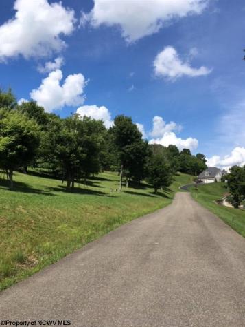 0 Doe Lane Buckhannon WV 26201