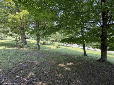 0 Doe Lane Buckhannon WV 26201