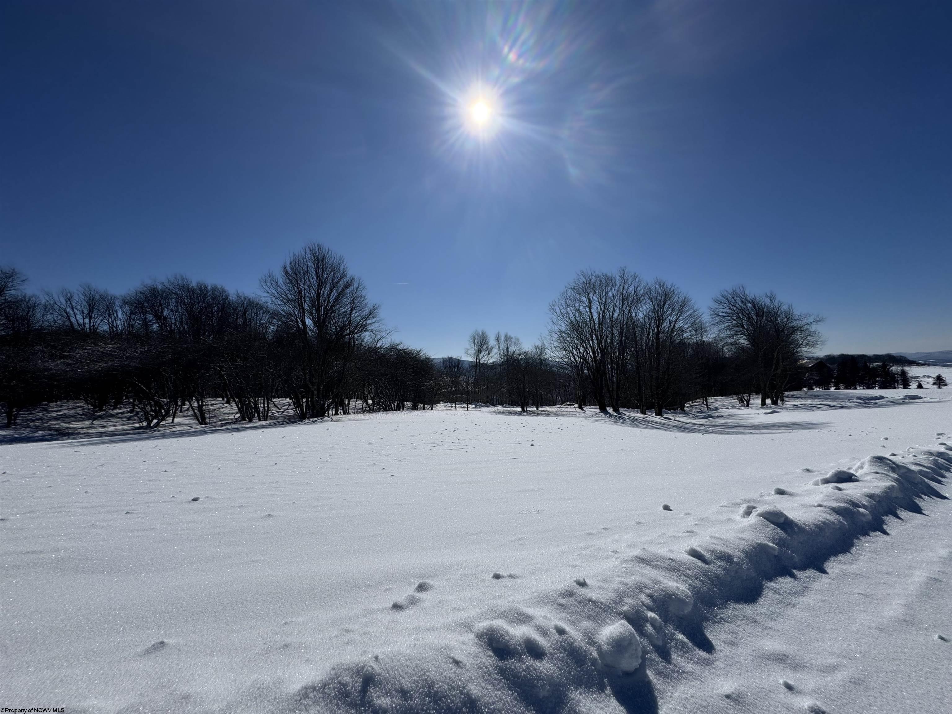 18 Pointy Knob Road Davis WV 26260