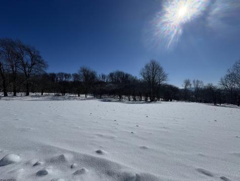 18 Pointy Knob Road Davis WV 26260